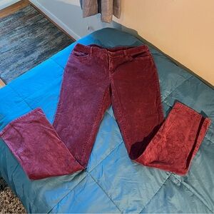 Style & Co. Maroon Bootcut Corduroy Pants, Size 12